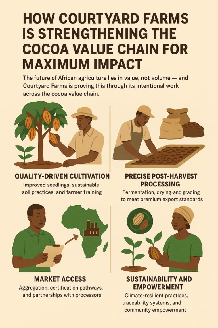 How Courtyard Farms Is Strengthening the Cocoa Value Chain for Maximum Impact